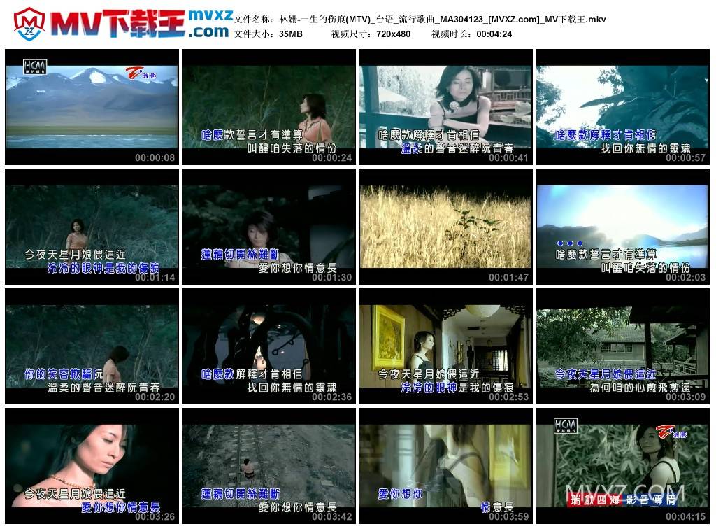 林姗-一生的伤痕(MTV)_台语_流行歌曲_MA304123